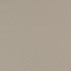 D1550 Pewter Diamond by Charlotte Designer Fabric