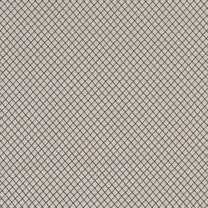 D1553 Platinum Diamond by Charlotte Designer Fabric