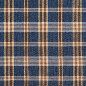 D155 Indigo Tartan by Charlotte Designer Fabric
