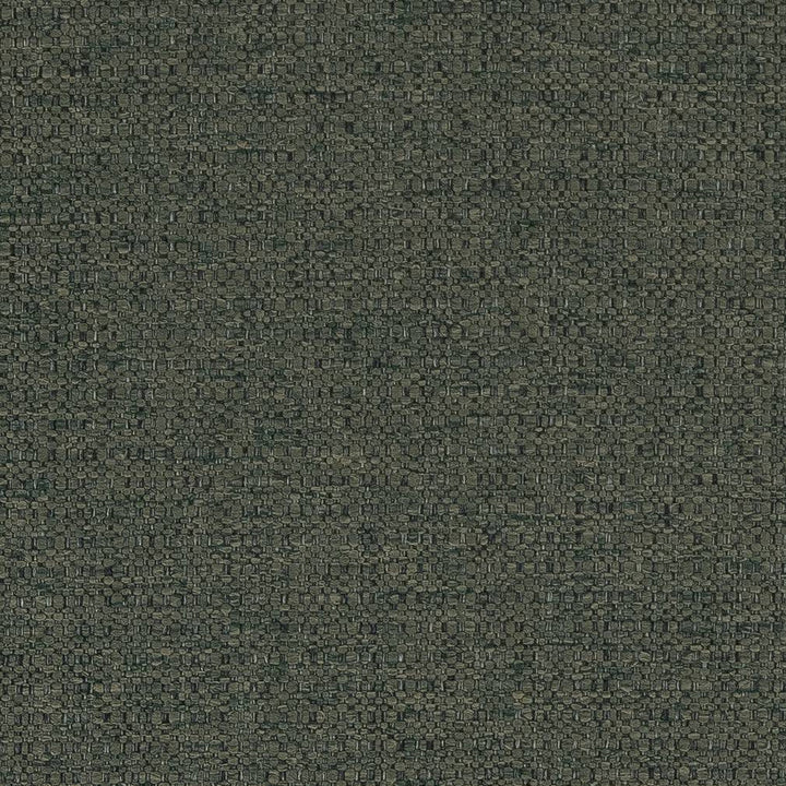 D1576 Cypress by Charlotte Designer Fabric Eco Plains 100% Polypropylene Made In USA Exceeds 60,000 Wyzenbeek Rubs (Heavy Duty) </p><p>Repeat: 54 Inches - Swanky Fabrics -