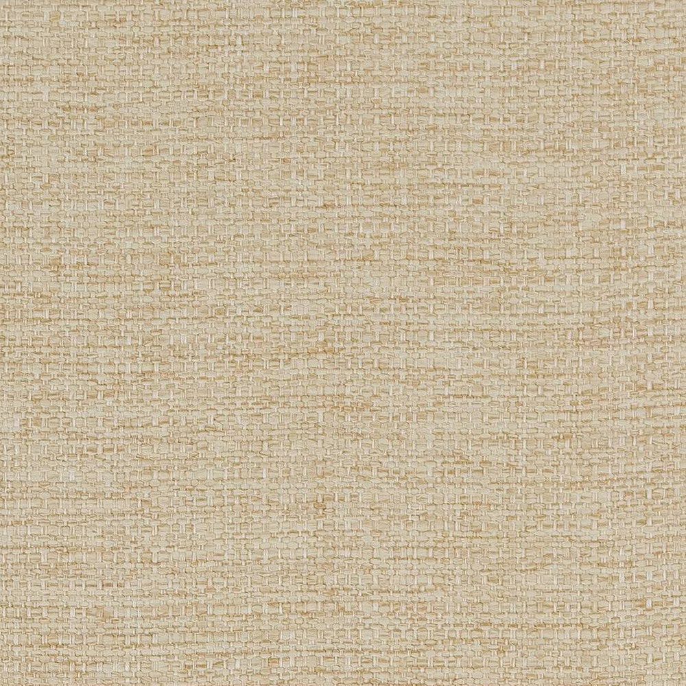 D1581 Beach by Charlotte Designer Fabric Eco Plains 100% Woven Polypropylene Made In USA Exceeds 60,000 Wyzenbeek Rubs (Heavy Duty) No Repeat 54 Inches - Swanky Fabrics -