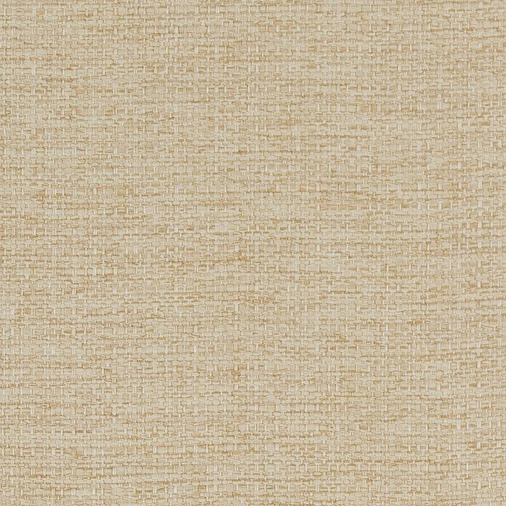 D1581 Beach by Charlotte Designer Fabric Eco Plains 100% Woven Polypropylene Made In USA Exceeds 60,000 Wyzenbeek Rubs (Heavy Duty) No Repeat 54 Inches - Swanky Fabrics -