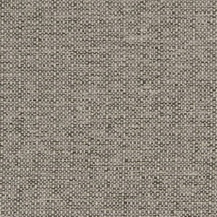 D1582 Platinum by Charlotte Designer Fabric Eco Plains 100% Woven Polypropylene Made In USA Exceeds 60,000 Wyzenbeek Rubs (Heavy Duty) No Repeat 54 Inches - Swanky Fabrics -