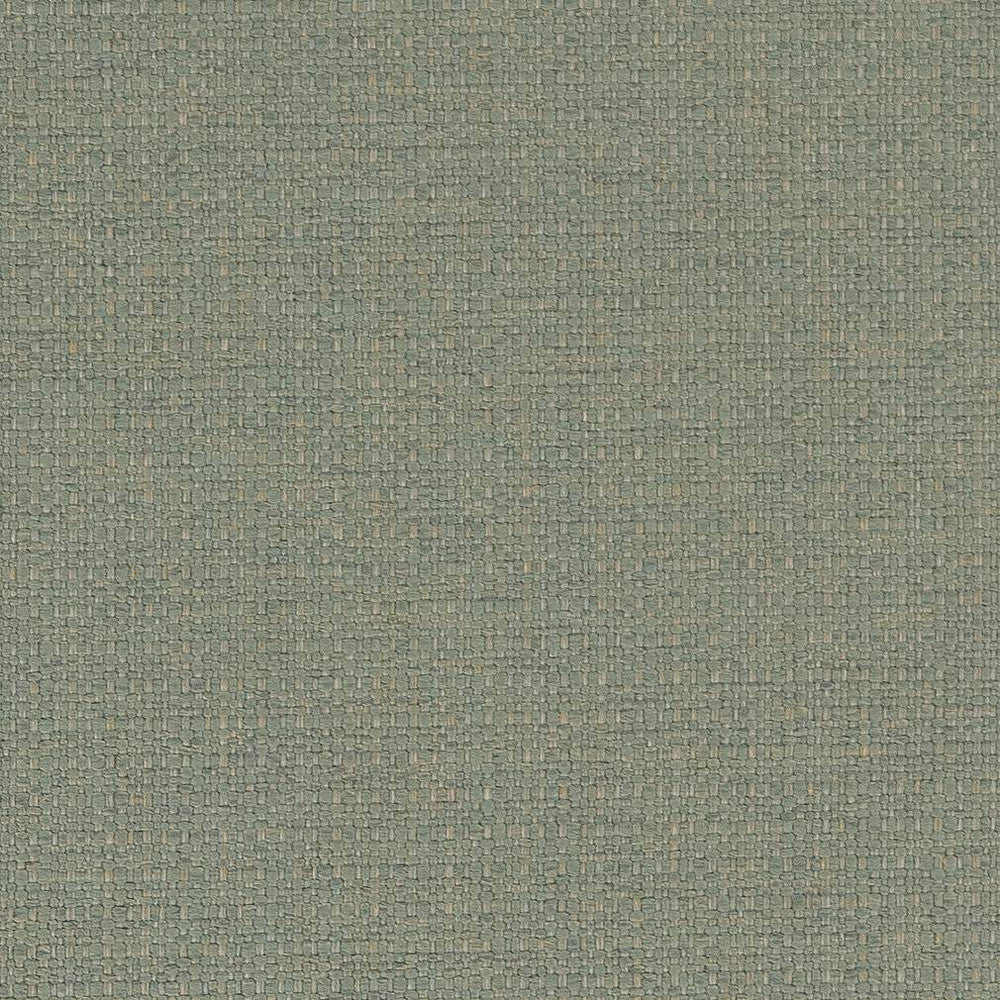 D1583 Mist by Charlotte Designer Fabric Eco Plains 100% Polypropylene Made In USA Exceeds 60,000 Wyzenbeek Rubs (Heavy Duty) </p><p>Repeat: 54 Inches - Swanky Fabrics -