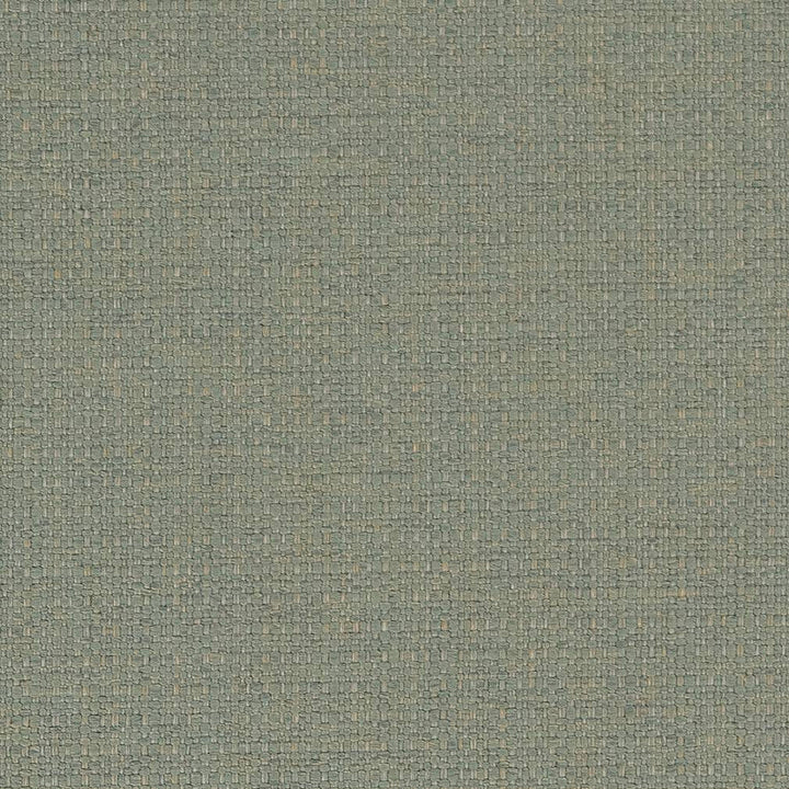 D1583 Mist by Charlotte Designer Fabric Eco Plains 100% Woven Polypropylene Made In USA Exceeds 60,000 Wyzenbeek Rubs (Heavy Duty) No Repeat 54 Inches - Swanky Fabrics -