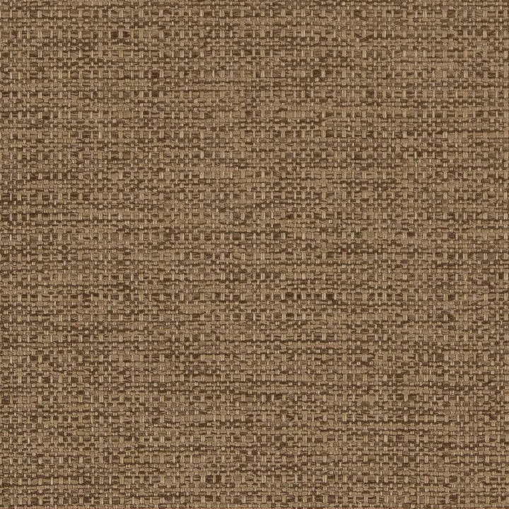 D1585 Sandalwood by Charlotte Designer Fabric Eco Plains 100% Woven Polypropylene Made In USA Exceeds 60,000 Wyzenbeek Rubs (Heavy Duty) No Repeat 54 Inches - Swanky Fabrics -