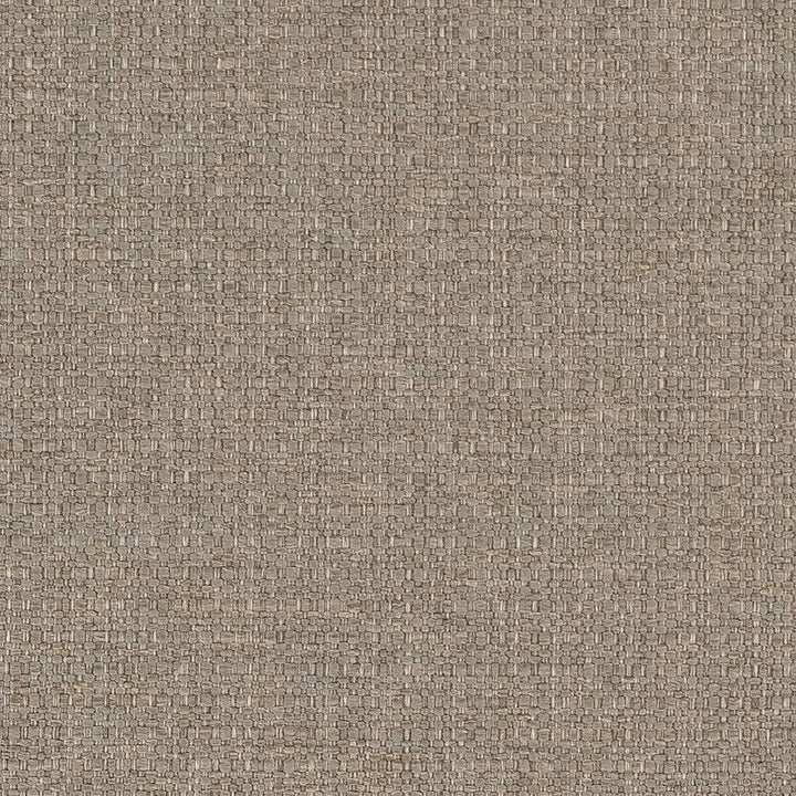D1586 Stone by Charlotte Designer Fabric Eco Plains 100% Woven Polypropylene Made In USA Exceeds 60,000 Wyzenbeek Rubs (Heavy Duty) No Repeat 54 Inches - Swanky Fabrics -