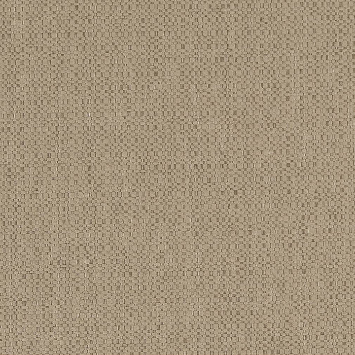 D1593 Dune by Charlotte Designer Fabric Eco Plains 100% Polypropylene Made In USA Exceeds 60,000 Wyzenbeek Rubs (Heavy Duty) </p><p>Repeat: 54 Inches - Swanky Fabrics -
