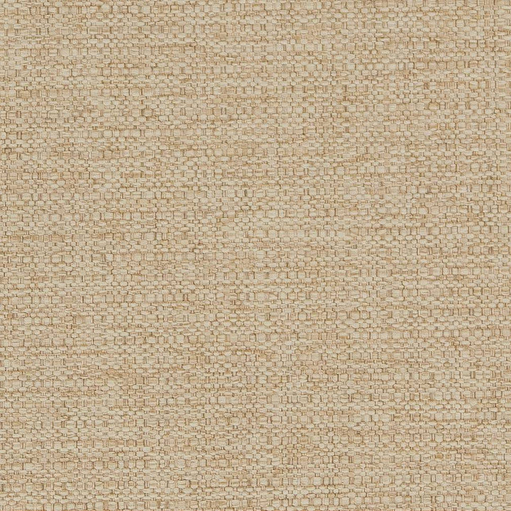 D1594 Barley by Charlotte Designer Fabric Eco Plains 100% Woven Polypropylene Made In USA Exceeds 60,000 Wyzenbeek Rubs (Heavy Duty) No Repeat 54 Inches - Swanky Fabrics -