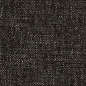 D1597 Charcoal by Charlotte Designer Fabric