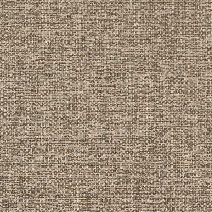 D1598 Taupe by Charlotte Designer Fabric Eco Plains 100% Woven Polypropylene Made In USA Exceeds 60,000 Wyzenbeek Rubs (Heavy Duty) No Repeat 54 Inches - Swanky Fabrics -