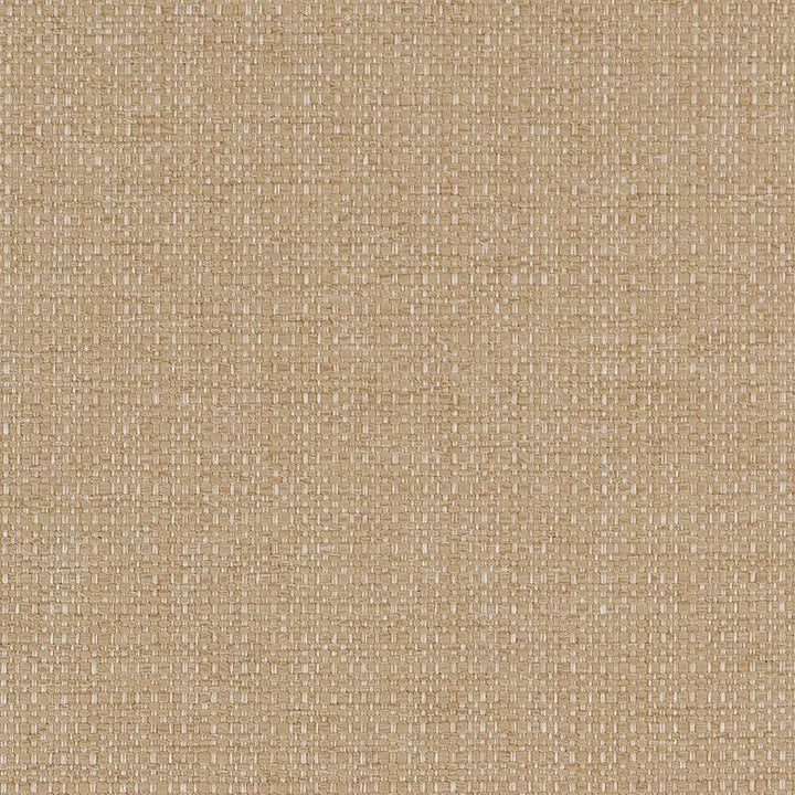 D1599 Almond by Charlotte Designer Fabric Eco Plains 100% Woven Polypropylene Made In USA Exceeds 60,000 Wyzenbeek Rubs (Heavy Duty) No Repeat 54 Inches - Swanky Fabrics -