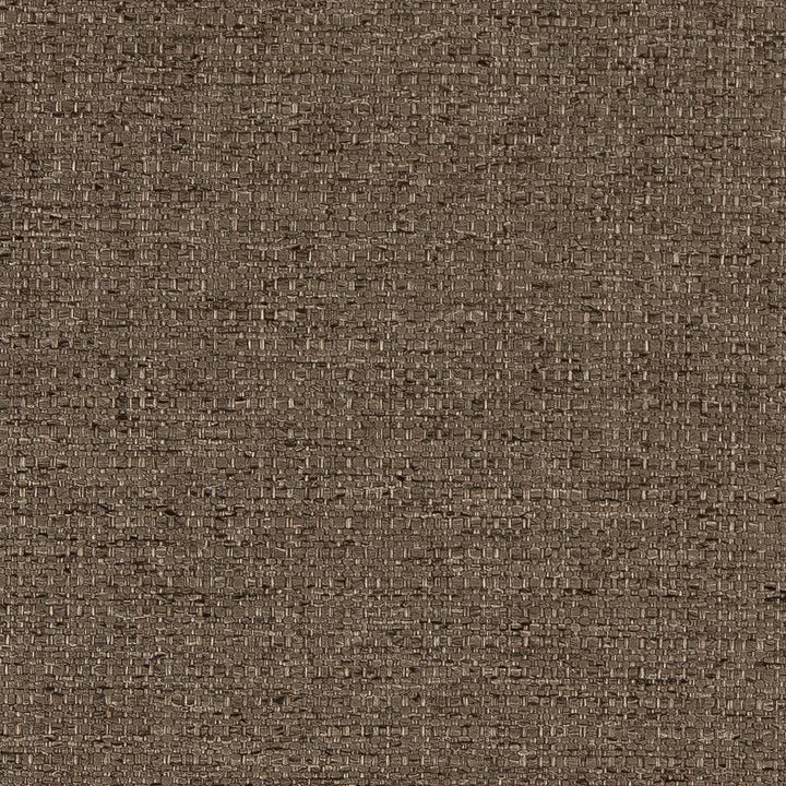 D1600 Truffle by Charlotte Designer Fabric Eco Plains 100% Polypropylene Made In USA Exceeds 60,000 Wyzenbeek Rubs (Heavy Duty) </p><p>Repeat: 54 Inches - Swanky Fabrics -
