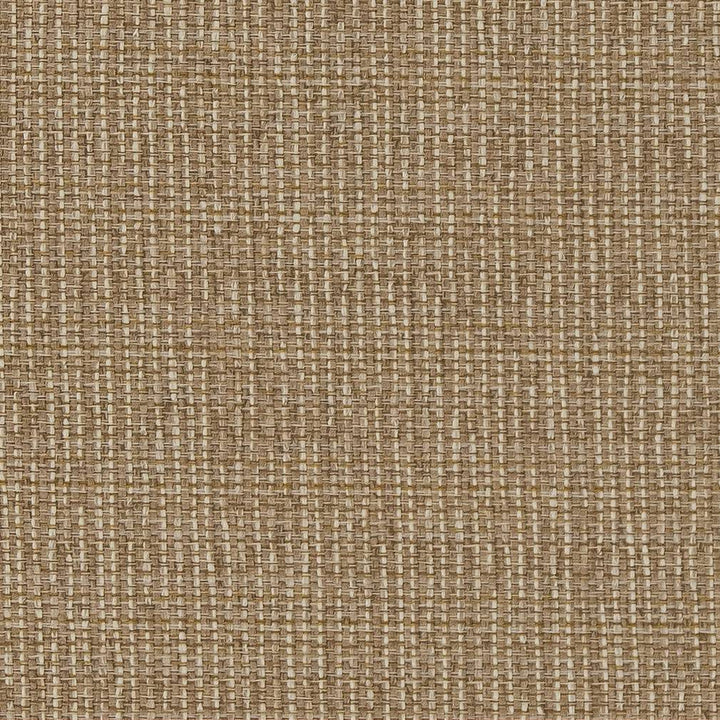 D1610 Almond by Charlotte Designer Fabric Eco Patterns 71% Polypropylene, 29% Polyester Made In USA Exceeds 60,000 Wyzenbeek Rubs (Heavy Duty) </p><p>Repeat: 54 Inches - Swanky Fabrics -