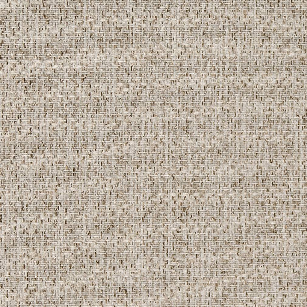 D1619 Birch by Charlotte Designer Fabric Eco Patterns 100% Woven Polypropylene Made In USA Exceeds 60,000 Wyzenbeek Rubs (Heavy Duty) No Repeat 54 Inches - Swanky Fabrics -
