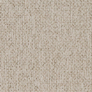 D1619 Birch by Charlotte Designer Fabric