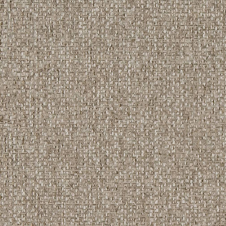 D1621 Mushroom by Charlotte Designer Fabric Eco Patterns 100% Polypropylene Made In USA Exceeds 60,000 Wyzenbeek Rubs (Heavy Duty) </p><p>Repeat: 54 Inches - Swanky Fabrics -