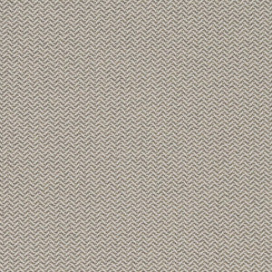 D1622 Zinc by Charlotte Designer Fabric