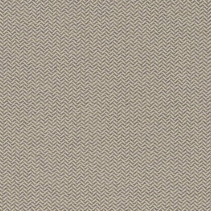 D1624 Pewter by Charlotte Designer Fabric Eco Patterns 100% Woven Polypropylene Made In USA Exceeds 60,000 Wyzenbeek Rubs (Heavy Duty) No Repeat 54 Inches - Swanky Fabrics -
