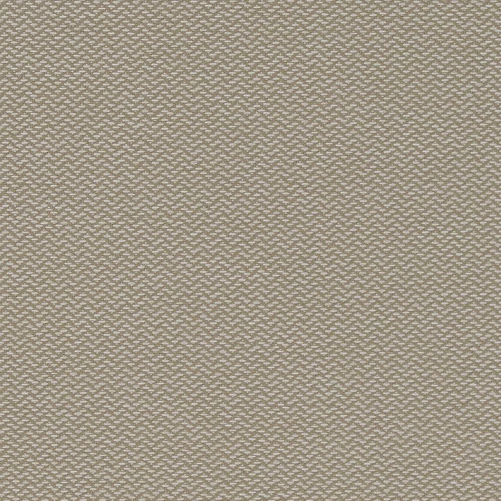 D1625 Cloud by Charlotte Designer Fabric Eco Patterns 100% Woven Polypropylene Made In USA Exceeds 60,000 Wyzenbeek Rubs (Heavy Duty) No Repeat 54 Inches - Swanky Fabrics -