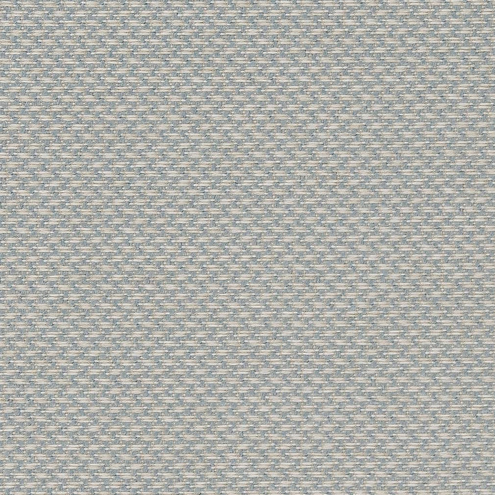 D1627 Sky by Charlotte Designer Fabric Eco Patterns 100% Polypropylene Made In USA Exceeds 60,000 Wyzenbeek Rubs (Heavy Duty) </p><p>Repeat: 54 Inches - Swanky Fabrics -