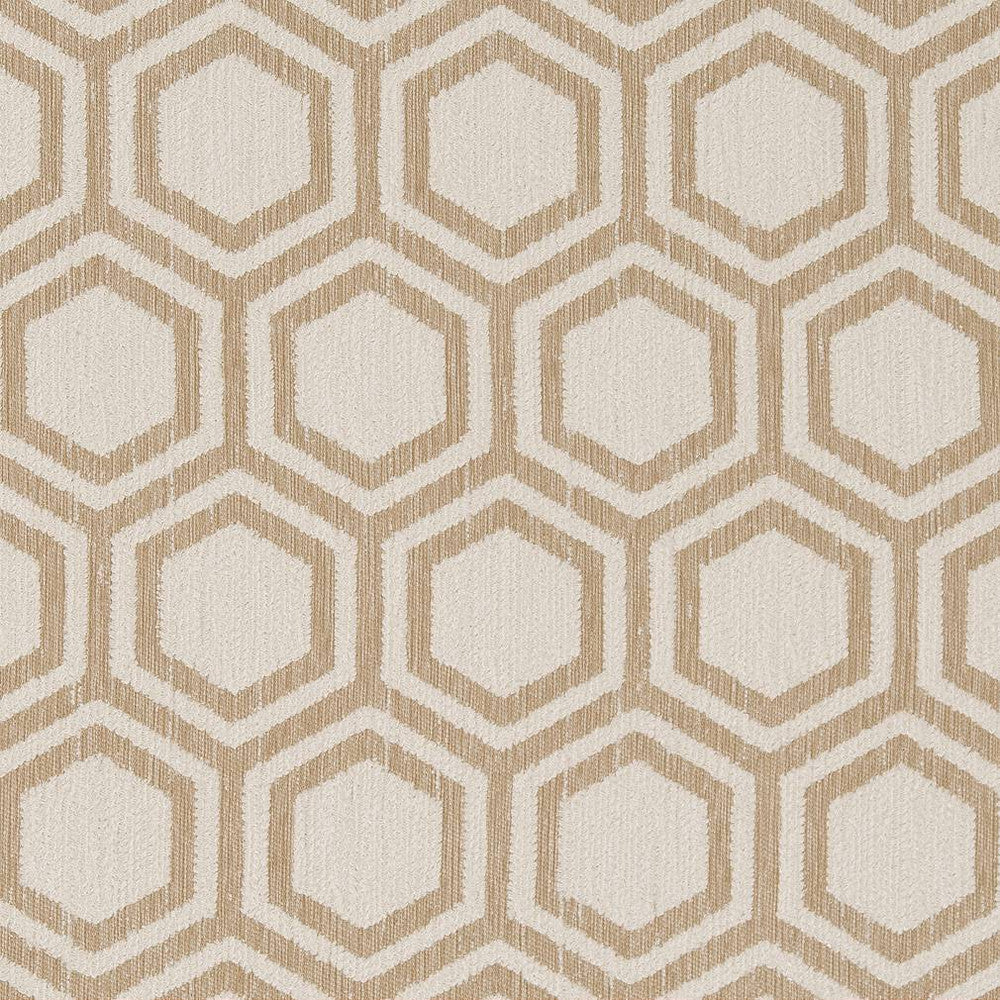 D1635 Sand Dollar by Charlotte Designer Fabric Eco Patterns 100% Woven Polypropylene Made In USA Exceeds 60,000 Wyzenbeek Rubs (Heavy Duty) Horizontal 4" x Vertical 7" 54 Inches - Swanky Fabrics -
