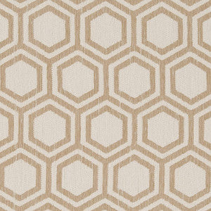 D1635 Sand Dollar by Charlotte Designer Fabric