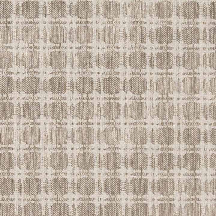 D1647 Moonstone by Charlotte Designer Fabric Eco Patterns 100% Woven Polypropylene Made In USA Exceeds 60,000 Wyzenbeek Rubs (Heavy Duty) Horizontal 1.25" x Vertical 1.25" 54 Inches - Swanky Fabrics -