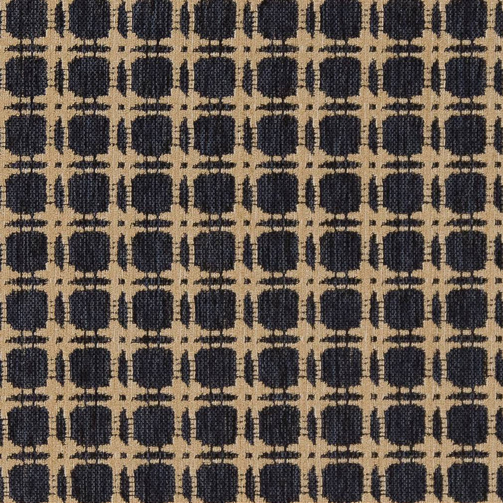 D1648 Navy by Charlotte Designer Fabric Eco Patterns 100% Woven Polypropylene Made In USA Exceeds 60,000 Wyzenbeek Rubs (Heavy Duty) Horizontal 1.25" x Vertical 1.25" 54 Inches - Swanky Fabrics -