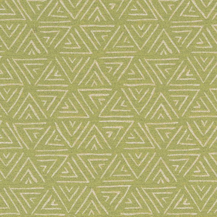 D1654 Spring by Charlotte Designer Fabric All Seasons V 100% Acrylic Indonesia Exceeds 60,000 Wyzenbeek Rubs (Heavy Duty) Horizontal: 9" x Vertical 4.5" 54 Inches - Swanky Fabrics -