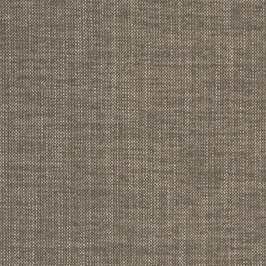 D1703 Slate by Charlotte Designer Fabric