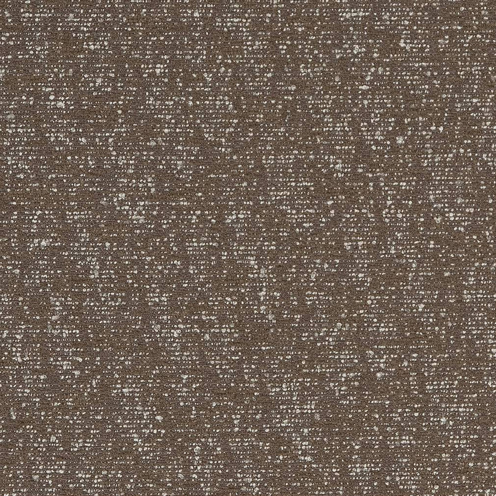 D1710 Ash by Charlotte Designer Fabric Crypton III 90% Polyester, 10% Viscose Asia Exceeds 200,000 Wyzenbeek Rubs (Heavy Duty) No Repeat 54 Inches - Swanky Fabrics -