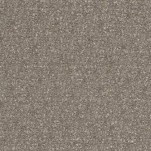 D1715 Granite by Charlotte Designer Fabric