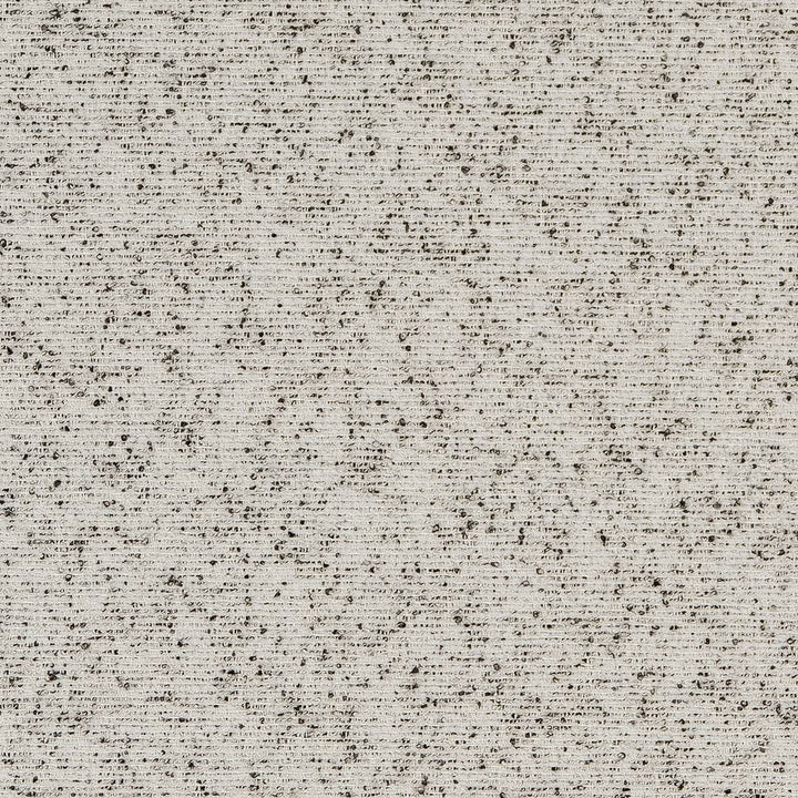 D1716 Marble by Charlotte Designer Fabric Crypton III 90% Polyester, 10% Viscose Asia Exceeds 200,000 Wyzenbeek Rubs (Heavy Duty) No Repeat 54 Inches - Swanky Fabrics -