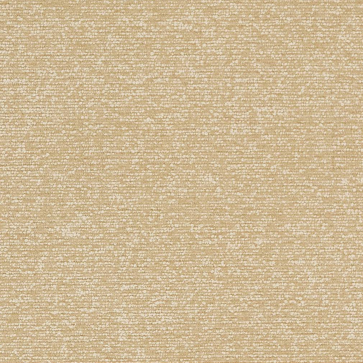 D1720 Beach by Charlotte Designer Fabric Crypton III 100% Woven Polyester Asia Exceeds 200,000 Wyzenbeek Rubs (Heavy Duty) </p><p>Repeat: 54 Inches - Swanky Fabrics -