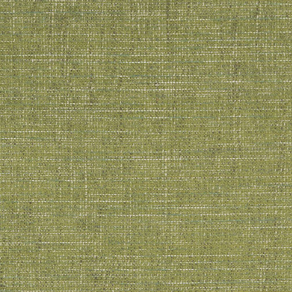 D1739 Grass by Charlotte Designer Fabric Crypton III 100% Woven Polyester Asia Exceeds 100,000 Wyzenbeek Rubs (Heavy Duty) </p><p>Repeat: 54 Inches - Swanky Fabrics -