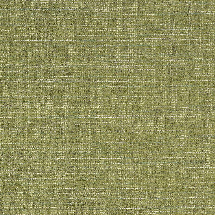 D1739 Grass by Charlotte Designer Fabric Crypton III 100% Woven Polyester Asia Exceeds 100,000 Wyzenbeek Rubs (Heavy Duty) </p><p>Repeat: 54 Inches - Swanky Fabrics -