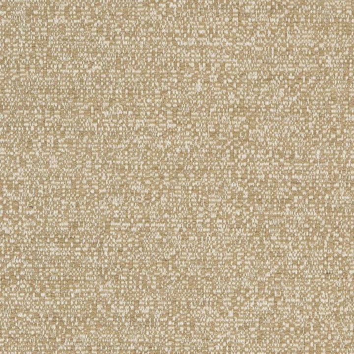 D1748 Barley by Charlotte Designer Fabric Crypton III 70% Polyester, 15% Viscose, 10% Acrylic Asia Exceeds 100,000 Wyzenbeek Rubs (Heavy Duty) No Repeat 54 Inches - Swanky Fabrics -