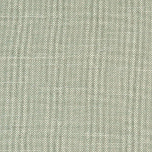 D1751 Aqua by Charlotte Designer Fabric