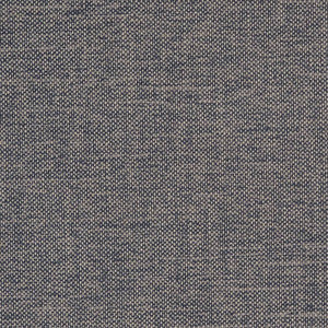 D1752 Denim by Charlotte Designer Fabric