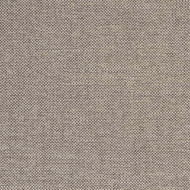 D1755 Fossil by Charlotte Designer Fabric Crypton III 70% Polyester, 25% Viscose, 5% Linen Asia Exceeds 200,000 Wyzenbeek Rubs (Heavy Duty) No Repeat 54 Inches - Swanky Fabrics -