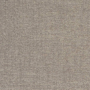 D1755 Fossil by Charlotte Designer Fabric