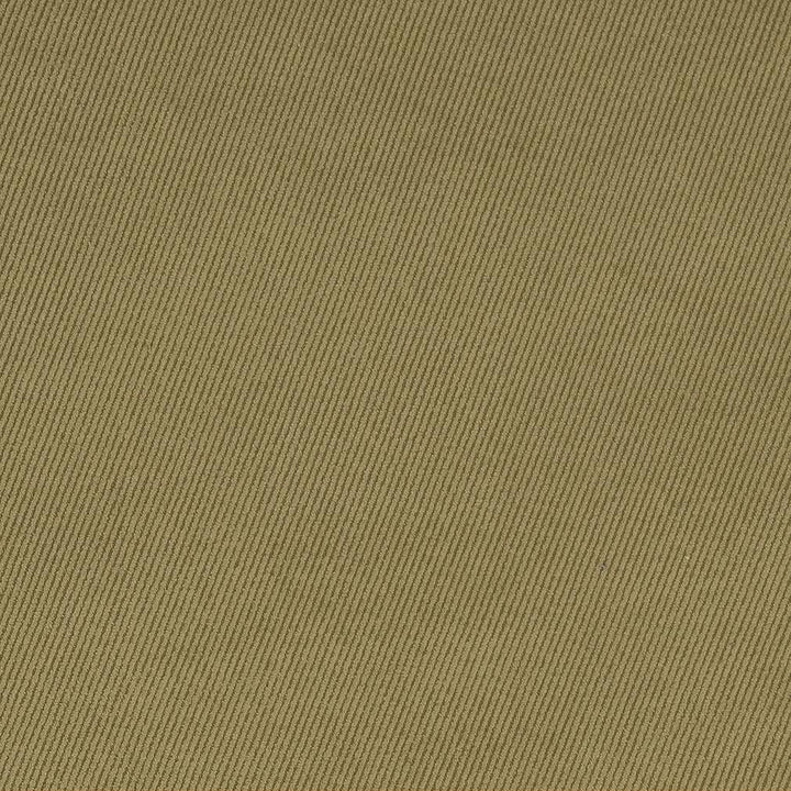 D1760 Sage by Charlotte Designer Fabric Classic Velvet 100% Woven Polyester Asia Exceeds 200,000 Wyzenbeek Rubs (Heavy Duty) </p><p>Repeat: 54 Inches - Swanky Fabrics -