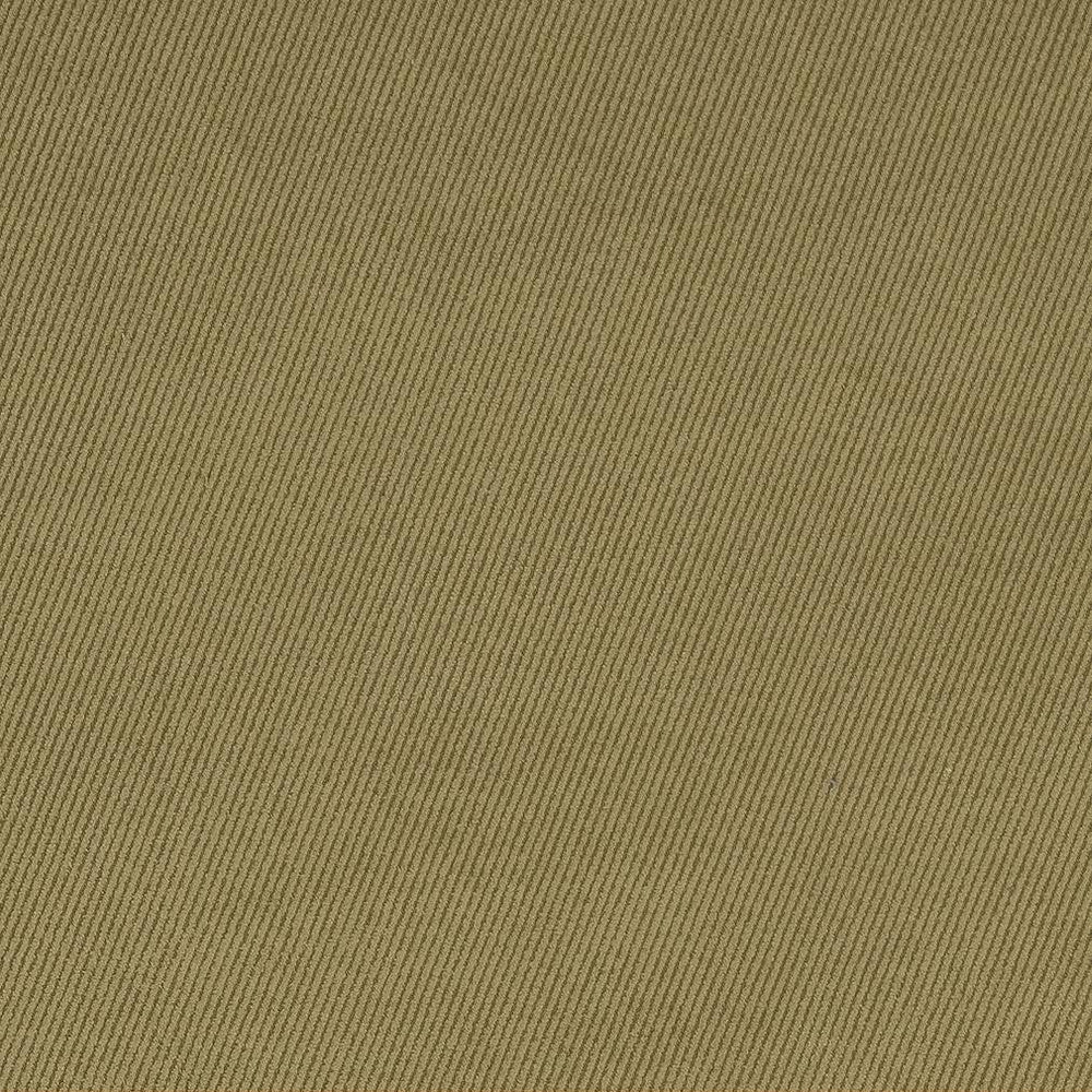 D1760 Sage by Charlotte Designer Fabric Classic Velvet 100% Woven Polyester Asia Exceeds 200,000 Wyzenbeek Rubs (Heavy Duty) No Repeat 54 Inches - Swanky Fabrics -