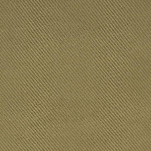 D1760 Sage by Charlotte Designer Fabric
