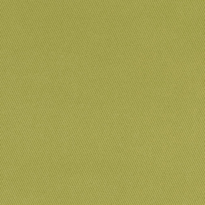 D1768 Spring by Charlotte Designer Fabric Classic Velvet 100% Woven Polyester Asia Exceeds 200,000 Wyzenbeek Rubs (Heavy Duty) No Repeat 54 Inches - Swanky Fabrics -