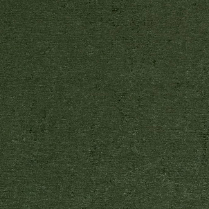 D1906 Juniper by Charlotte Designer Fabric Luxe Velvet 100% Woven Polyester India Exceeds 140,000 Wyzenbeek Rubs (Heavy Duty) </p><p>Repeat: 54 Inches - Swanky Fabrics -