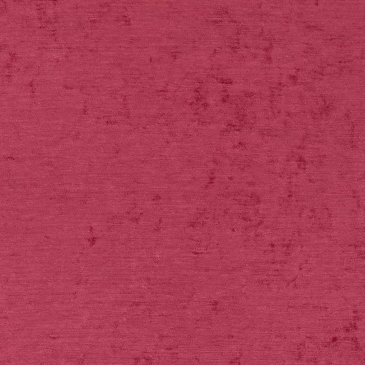 D1925 Fuchsia by Charlotte Designer Fabric Luxe Velvet 100% Woven Polyester India Exceeds 140,000 Wyzenbeek Rubs (Heavy Duty) </p><p>Repeat: 54 Inches - Swanky Fabrics -