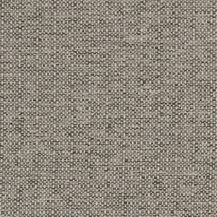 D1979 Platinum by Charlotte Designer Fabric Rustic Wovens 100% Polypropylene Made In USA Exceeds 60,000 Wyzenbeek Rubs (Heavy Duty) </p><p>Repeat: 54 Inches - Swanky Fabrics -