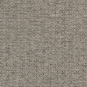 D1979 Platinum by Charlotte Designer Fabric